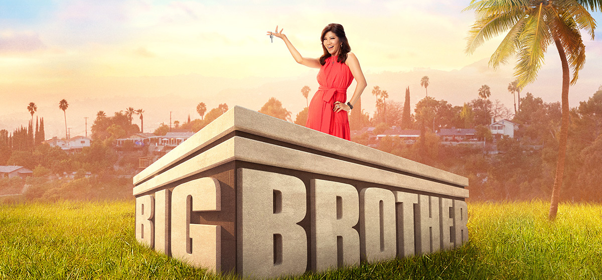 Big Brother Series Cover